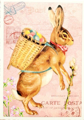 P&auml;&auml;si&auml;iskortti Pupu ja munakori